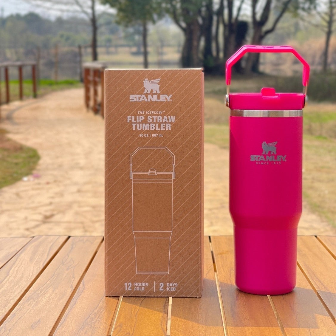 Stanley IceFlow 2.0 Flip Straw Tumbler with Handle 30 oz | Twist On Lid and Flip Up Straw | Leak Resistant Water Bottle | Insulated Stainless Steel | BPA-Free | Black 2.0